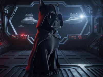 Darth Cat - Lord of the Sith