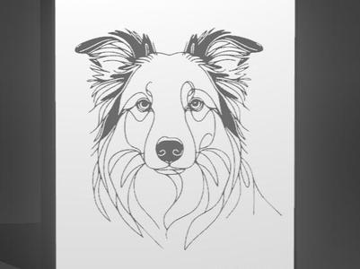 Border Collie 2 LightBox
