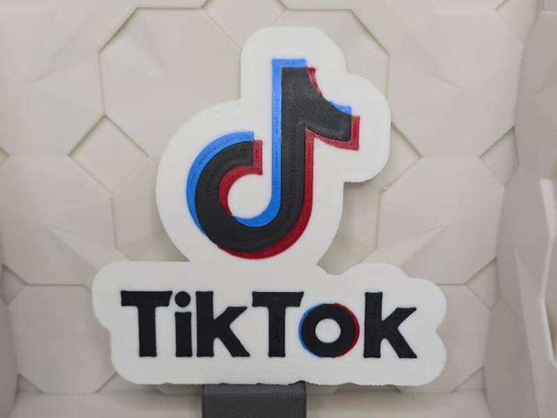 Tiktok Logo/Sign