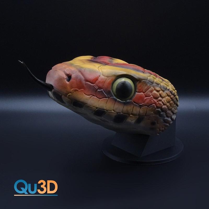 Snake Corn snake-Pantherophis guttatus - Portrait