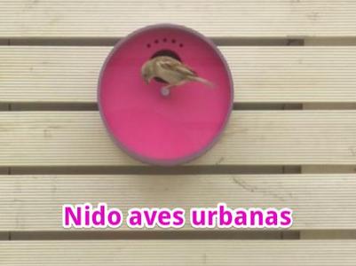 Urban Bird Nest: An Innovative Design