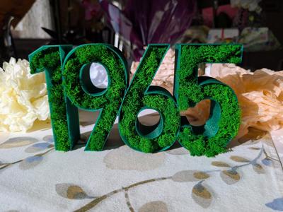 Number 1965 Moss Birthday