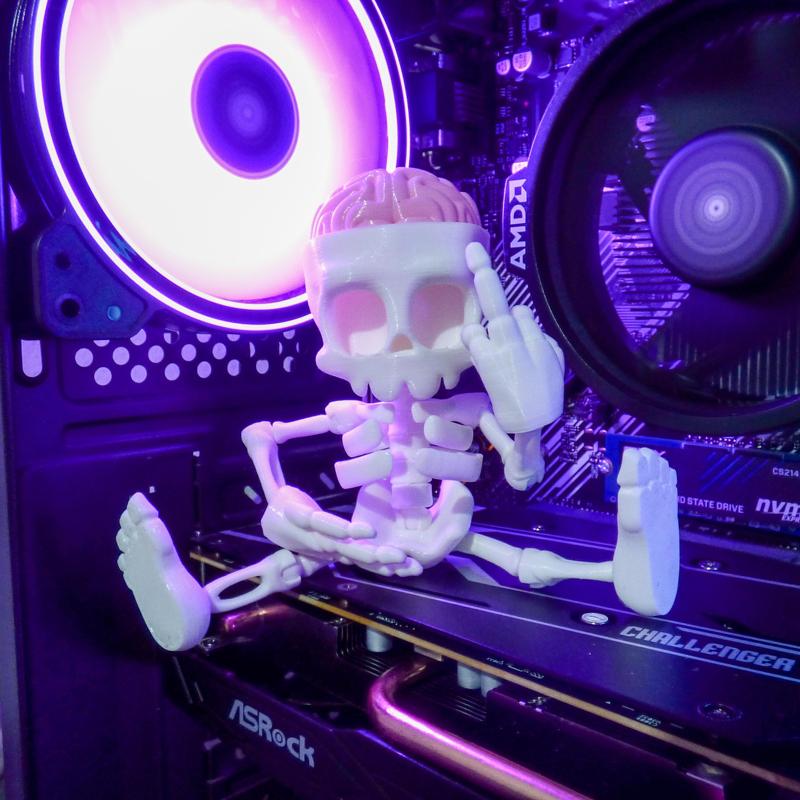 ARTICULATED SKELETON