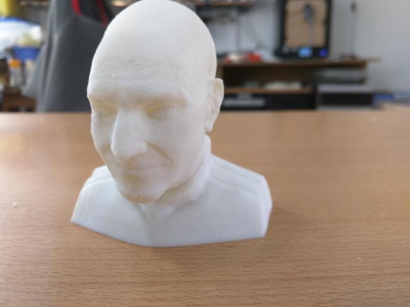 Patrick Stewart Bust - Splitted