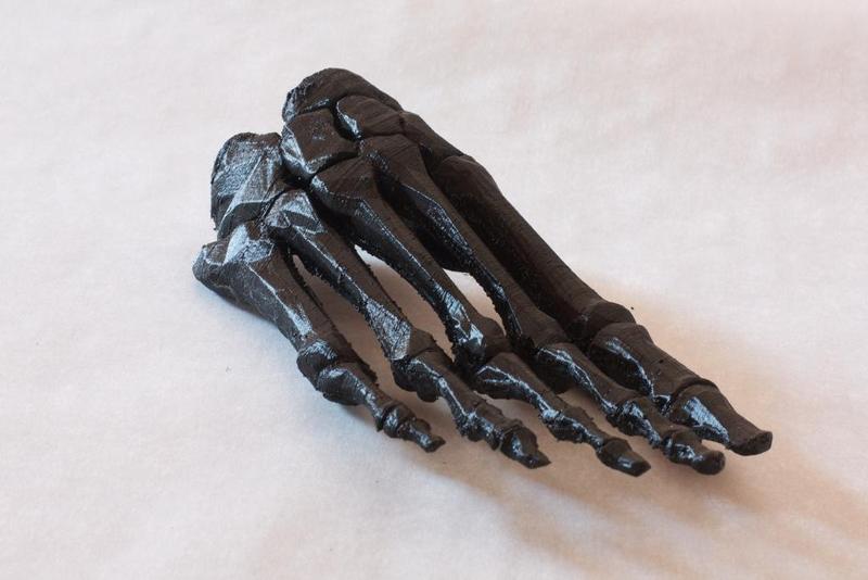 BodyParts3D Foot