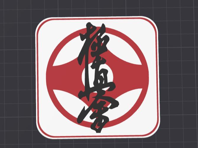 Kyokushin karate coaster, AMS ready