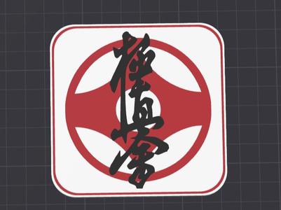 Kyokushin karate coaster, AMS ready