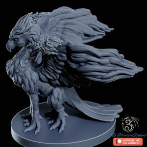 Griffin