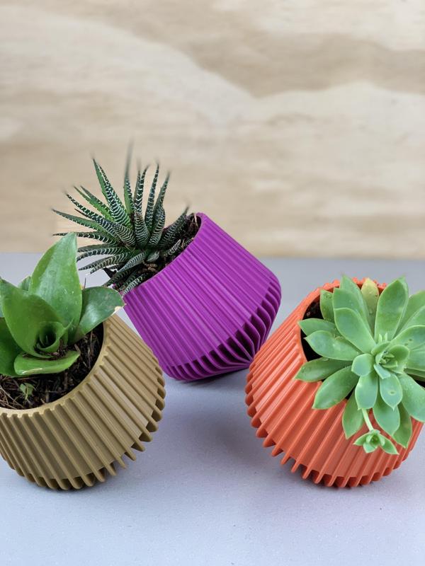 Tilt Succulent Planter
