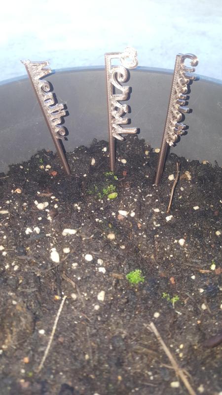 32 garden/garden label