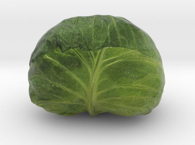 The Cabbage-2