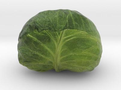 The Cabbage-2