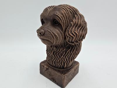 HAVANESE BUST