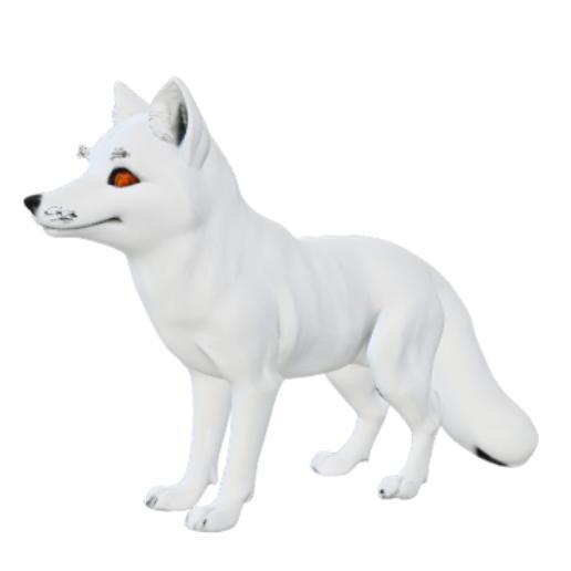 Charming White Fox