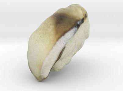 The Sushi of Mackerel