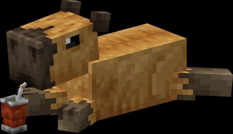 Minecraft articulated Capybara with matienzo