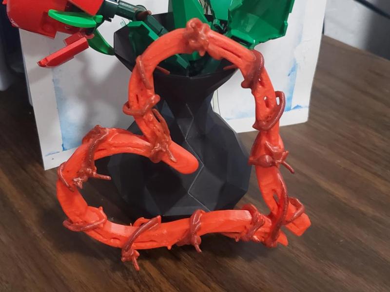 Barbwire Heart Horse Shoe