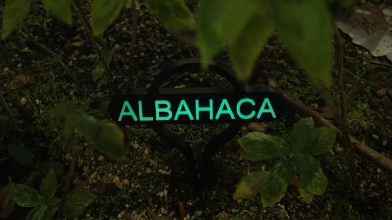 Glow Pins (Spanish Edition)