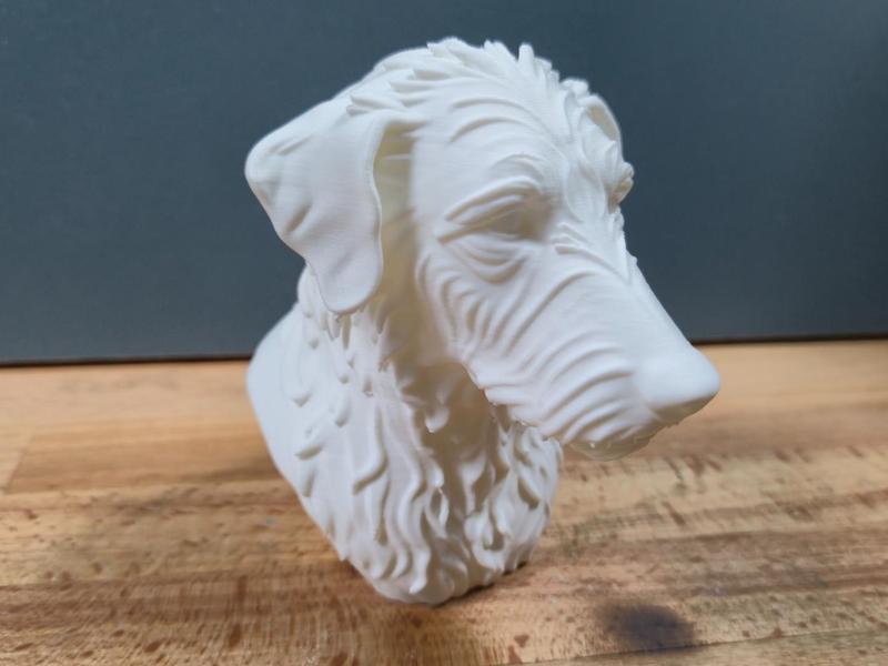 Rough hair lurcher Bust