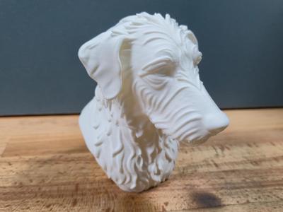 Rough hair lurcher Bust