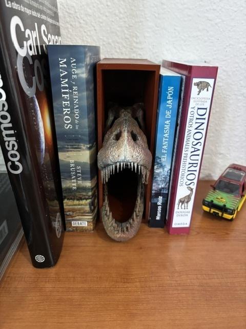 Book Nook - Tyrannosaurus Rex