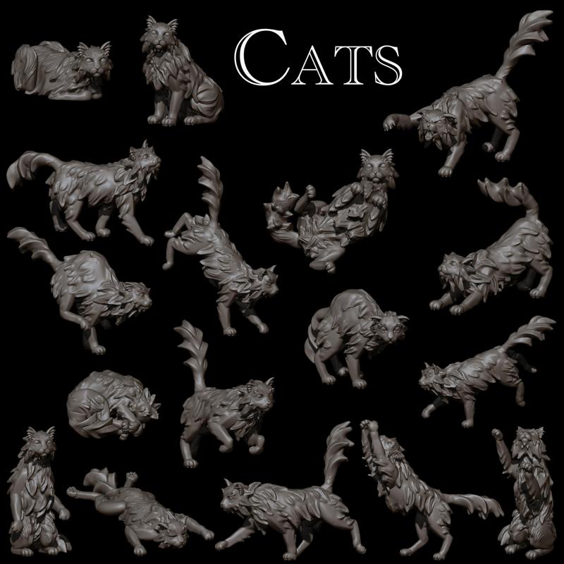 17 Cats!