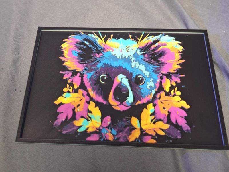 Colorful Koala Bear