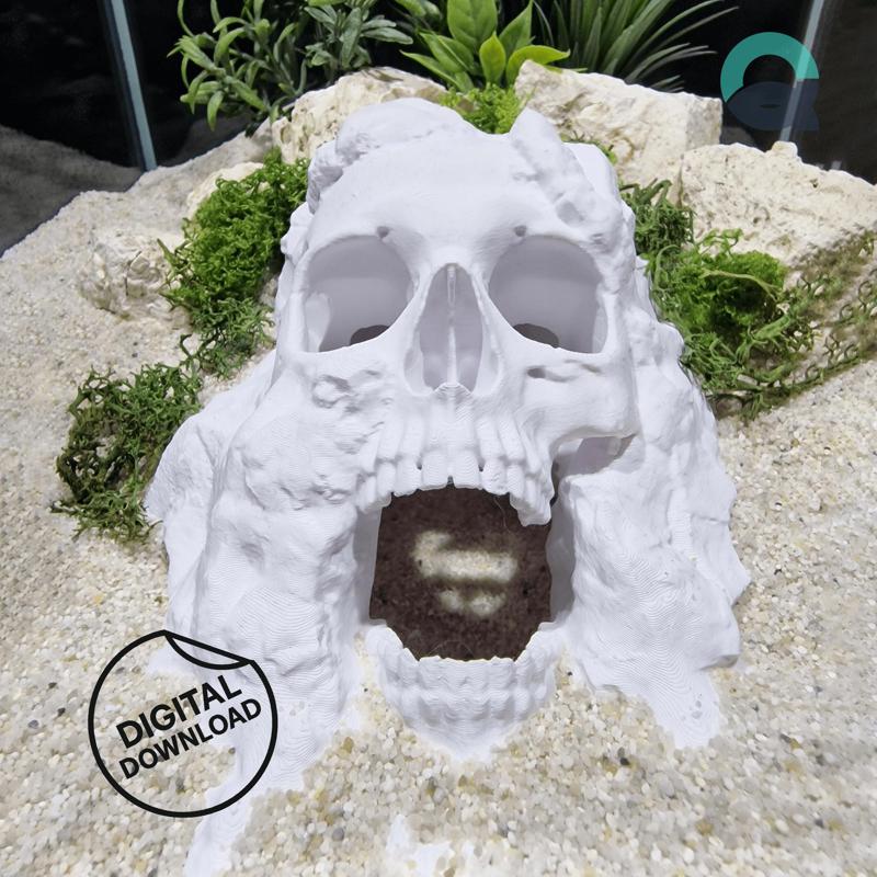 Terrarium & Aquarium Skull Hide – Pirate Cave for Fish, Reptiles, Shrimp, Spiders and Insects