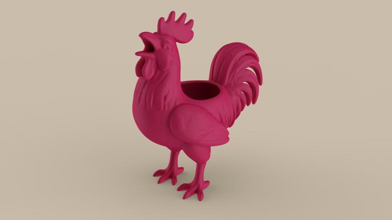 Denizli Rooster of Turkey