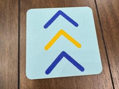 Down Syndrome Coaster