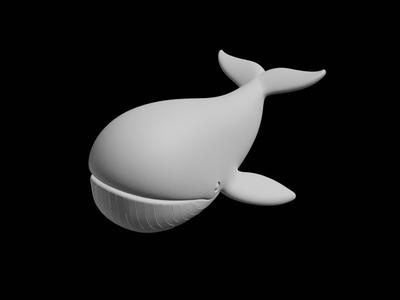 The Elegant Fish – The Ocean’s Showpiece 
