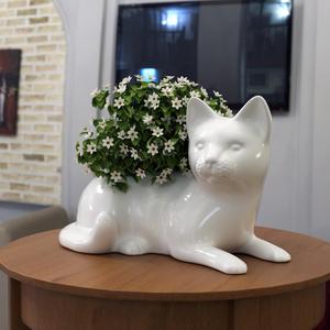 Cat Planter Pot