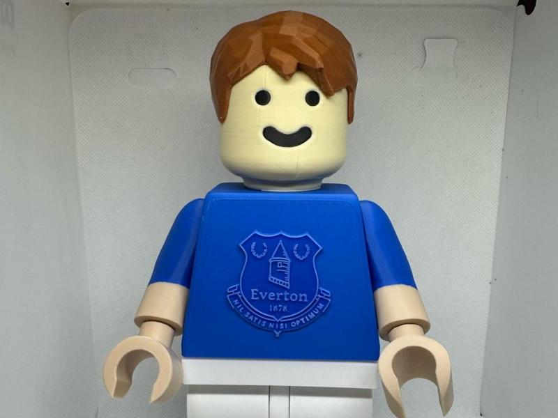 big brick Everton fc figure