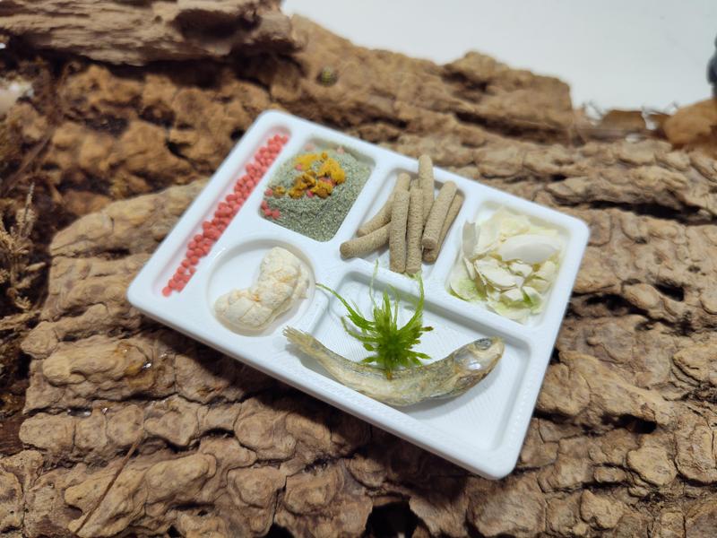 Isopod / Invertebrate Retro Lunch Tray