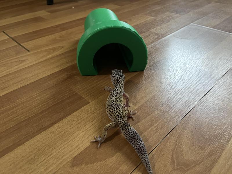 Reptile Hide, Mario-Themed Warp Pipe Decor