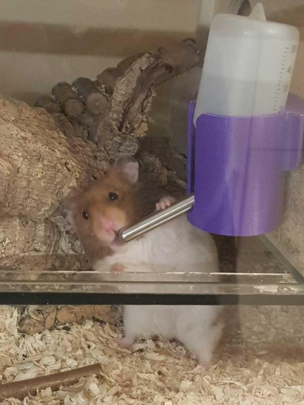 Hamster drinker holder (small)