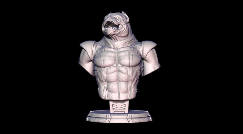 American Bully Wolverine