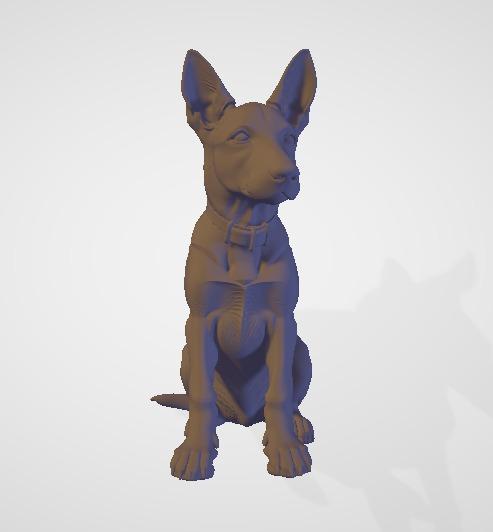 Malinois German Shepherd Puppy Dog