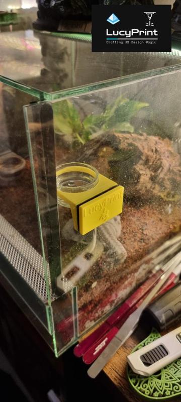 Terrarium Water Bowl Holder