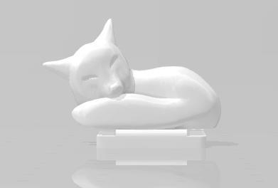 Nikon camera hot shoe