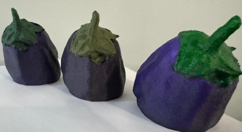 Scanned real eggplant ( aka aubergine  / brinjal )