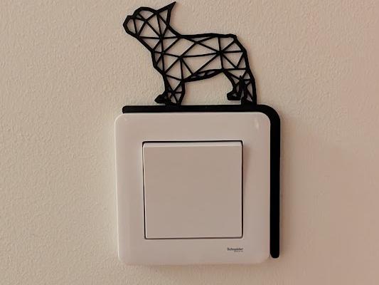 Polygon French Bulldog