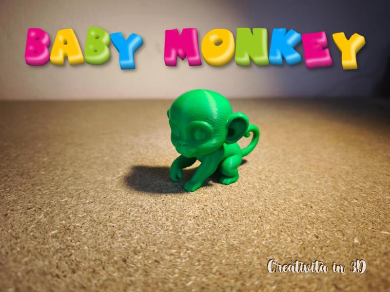 Baby Monkey