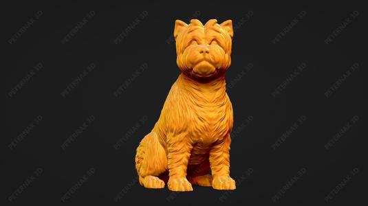Cairn Terrier Dog 3D Print Model Pose 06