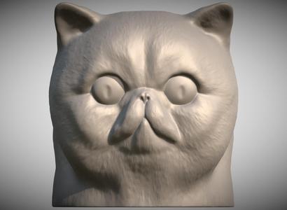 Exotic Shorthair cat head for 3D printing