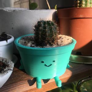 cute pot succulent planter