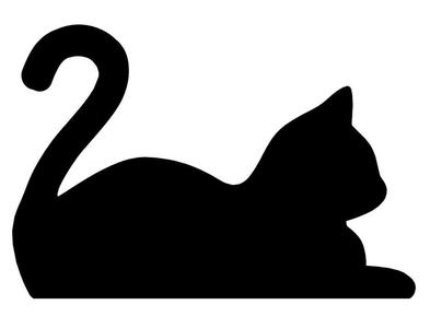 Black Cat 9
