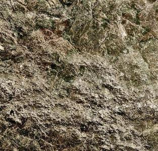 Rock Face 3D Model