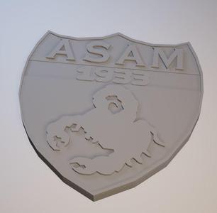 ASAM Badge