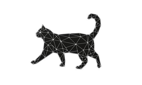 cynical cat
